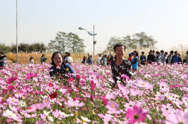 a23569f4df960437a44c23dc5e329de0_1469596