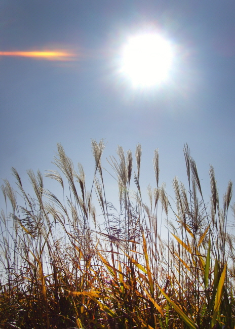 7238eea8f888bc4133bb84b2283f4579_1471011