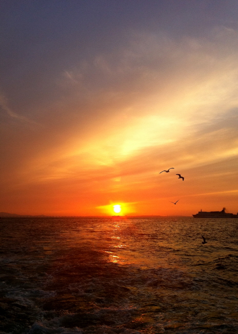 7238eea8f888bc4133bb84b2283f4579_1471011