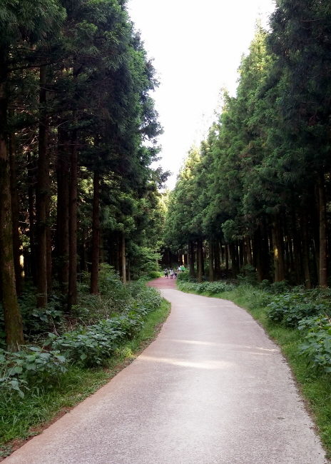 7238eea8f888bc4133bb84b2283f4579_1471011