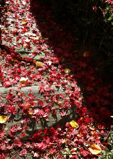 7238eea8f888bc4133bb84b2283f4579_1471012