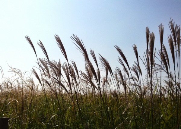 22e0602d936fe0599dc46af77a1e4245_1471017