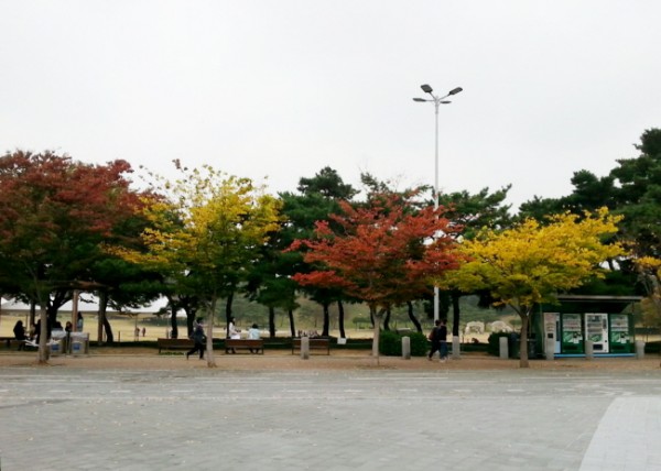 22e0602d936fe0599dc46af77a1e4245_1471017