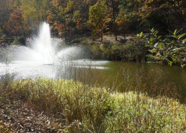 2a4665ba042ed56971ab9bf2240c625c_1471016